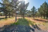 12400 Cotton Tail Lane - Photo 86