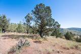 12400 Cotton Tail Lane - Photo 87