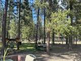 51829 Pine Loop Drive - Photo 16