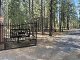 51829 Pine Loop Drive - Photo 3