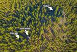 54655 Jack Pine Road - Photo 3