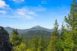 54655 Jack Pine Road - Photo 58