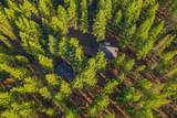 54655 Jack Pine Road - Photo 66