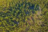 54655 Jack Pine Road - Photo 67