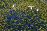 54655 Jack Pine Road - Photo 68