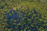 54655 Jack Pine Road - Photo 69