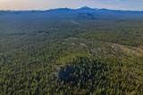 54655 Jack Pine Road - Photo 75