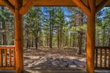 54655 Jack Pine Road - Photo 9