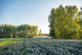 25159 Grange Hall Road - Photo 48