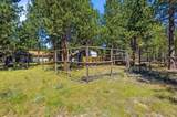 50868 Doe Loop - Photo 42