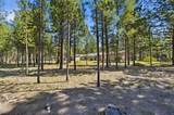 50868 Doe Loop - Photo 44