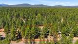 50868 Doe Loop - Photo 46