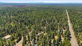 50868 Doe Loop - Photo 51