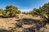 15000 Hat Rock Loop - Photo 8