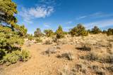 15000 Hat Rock Loop - Photo 9
