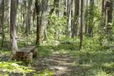 401 China Creek Road - Photo 13