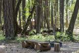 401 China Creek Road - Photo 14