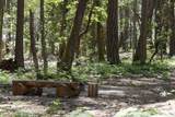 401 China Creek Road - Photo 15