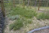 401 China Creek Road - Photo 19