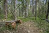 401 China Creek Road - Photo 2