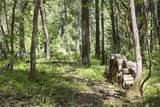 401 China Creek Road - Photo 25