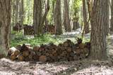 401 China Creek Road - Photo 27