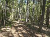 401 China Creek Road - Photo 33