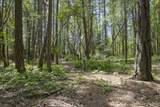 401 China Creek Road - Photo 44