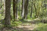 401 China Creek Road - Photo 46
