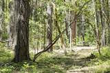 401 China Creek Road - Photo 47