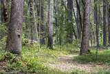 401 China Creek Road - Photo 49