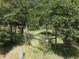 401 China Creek Road - Photo 51