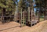 32907 River Bend Road - Photo 71
