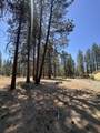 10742 Yonna Drive - Photo 17