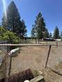 10742 Yonna Drive - Photo 20