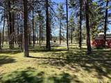 10742 Yonna Drive - Photo 23