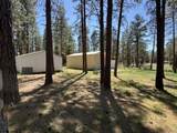 10742 Yonna Drive - Photo 24