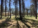 10742 Yonna Drive - Photo 25