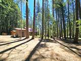 836 Ulrich Road - Photo 1