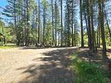 836 Ulrich Road - Photo 45