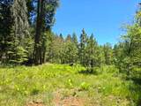 836 Ulrich Road - Photo 46