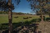 5010 Highway 97 - Photo 20