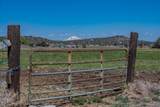 5010 Highway 97 - Photo 29