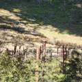 Moccasin Lane - Photo 10