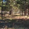  Moccasin Lane - Photo 11
