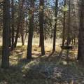  Moccasin Lane - Photo 12