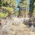  Moccasin Lane - Photo 13
