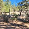  Moccasin Lane - Photo 14