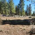  Moccasin Lane - Photo 15