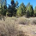  Moccasin Lane - Photo 16